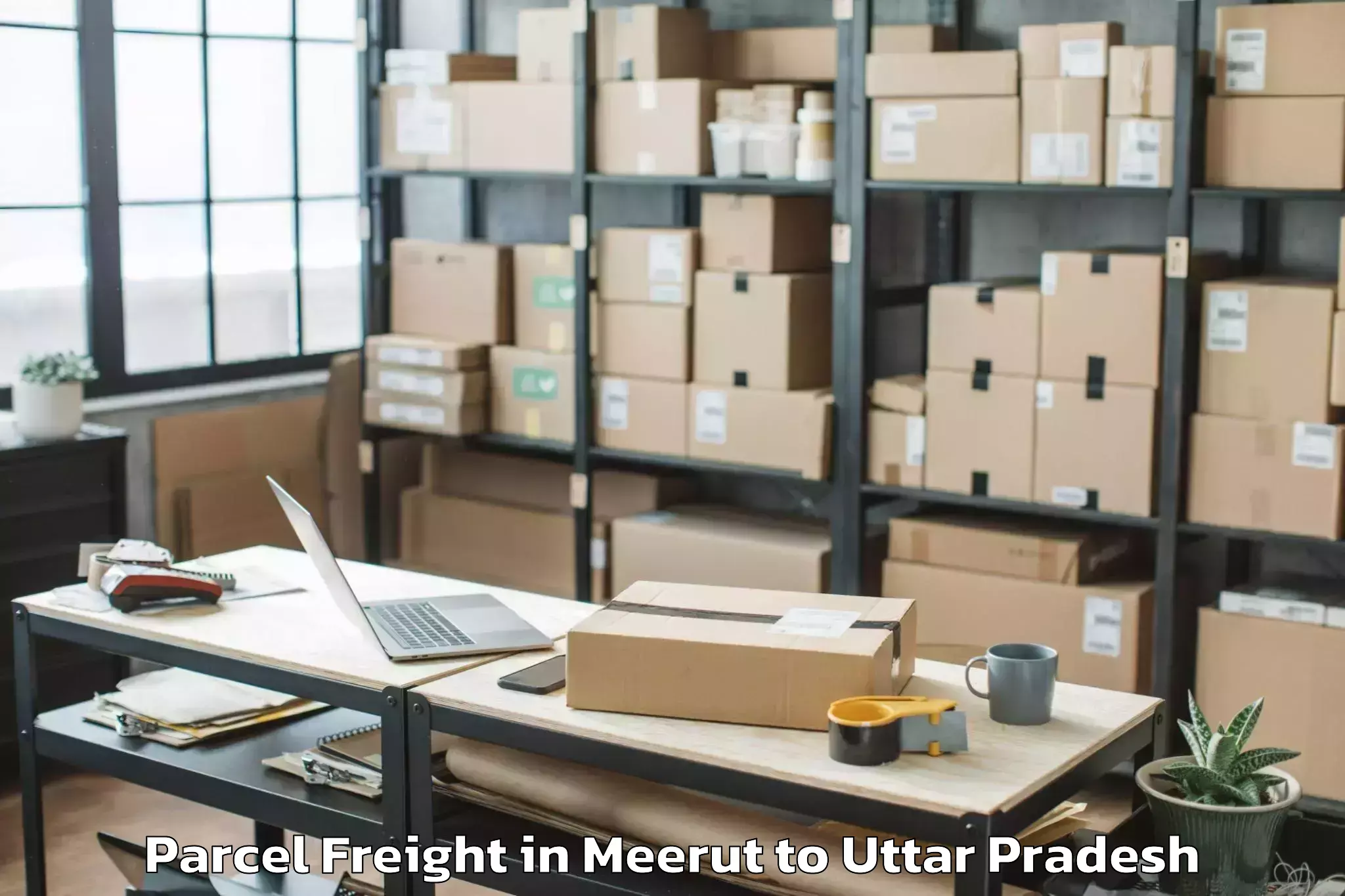 Book Meerut to Manjhanpur Parcel Freight Online